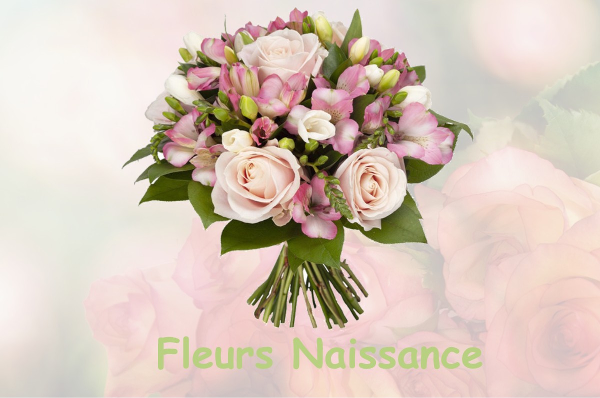 fleurs naissance SAINT-BUEIL