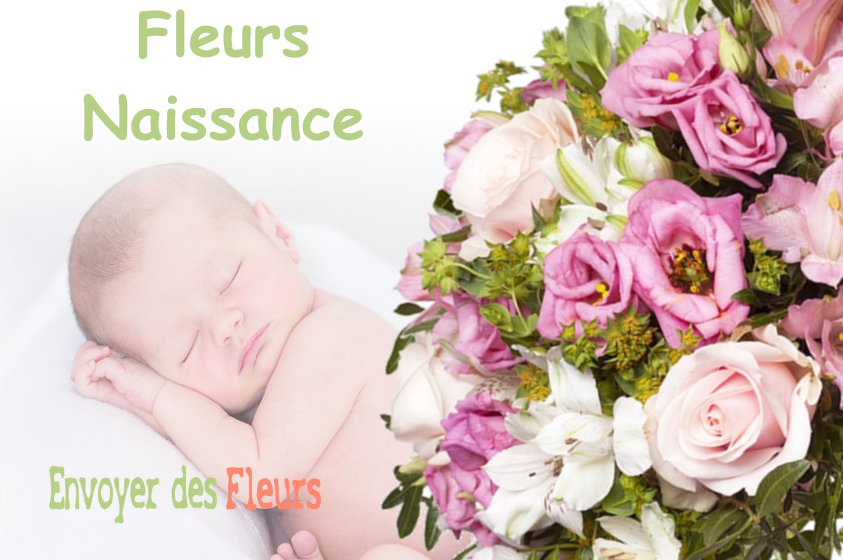 lIVRAISON FLEURS NAISSANCE à SAINT-BUEIL